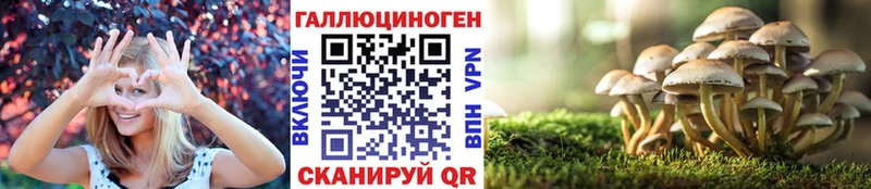 цена наркотик Астрахань kraken ССЫЛКА Галлюциногенные грибы Psilocybe
